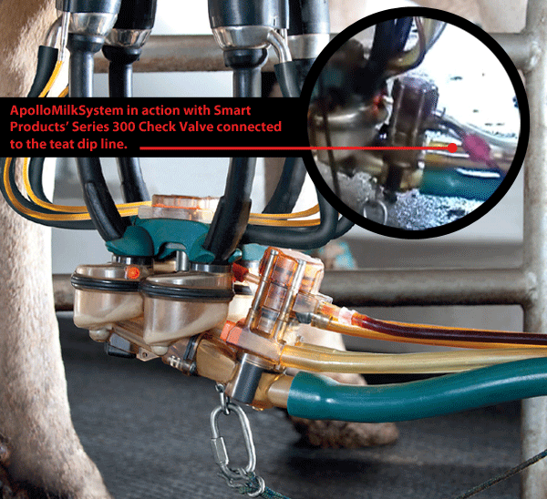 check valve connected to the dip line in automated milking device